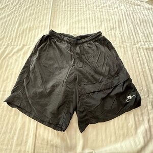 🫐🫐🫐    BELLWETHER BIKE CYCLING NYLON SHORTS SIZE L  🫐🫐🫐